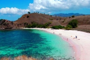 Lombok: 1-Day Pink Beach Tour in East Lombok