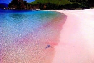 Lombok: 1-Day Pink Beach Tour in East Lombok