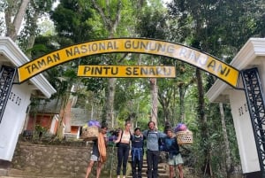 Lombok: 2-dagers tur langs kraterkanten på Mount Rinjani