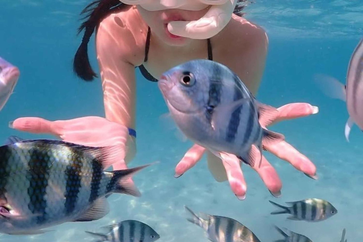 Lombok : plongée et patrimoine traditionnel aux îles Gili