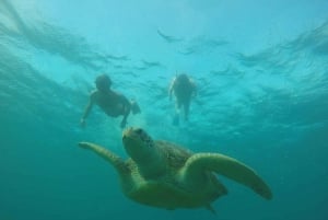 Lombok: 4-dages Sea Nomad-eventyr til Labuan Bajo