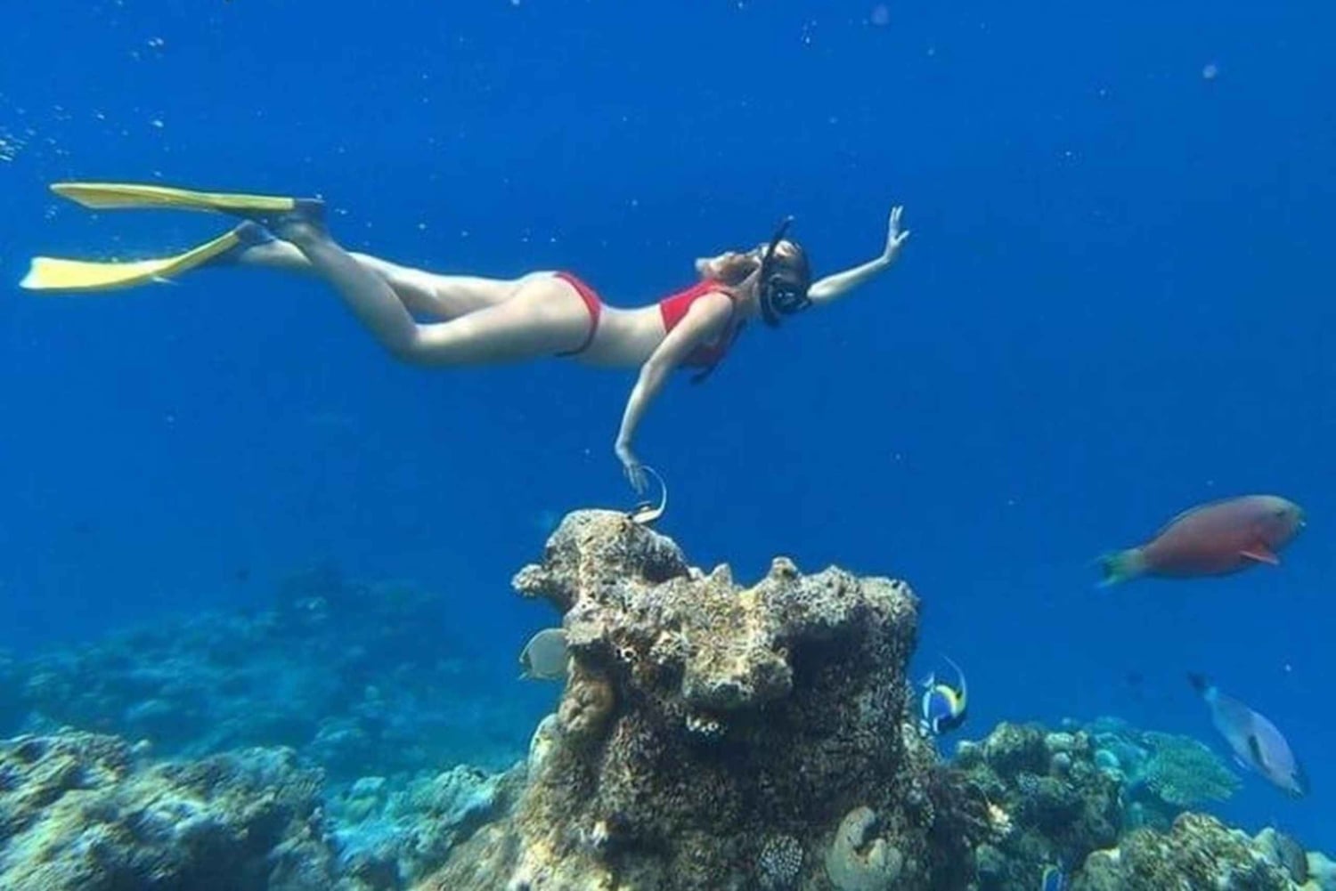 Lombok: 5 Gili Islands Snorkeling Tour With Go Pro & Lunch