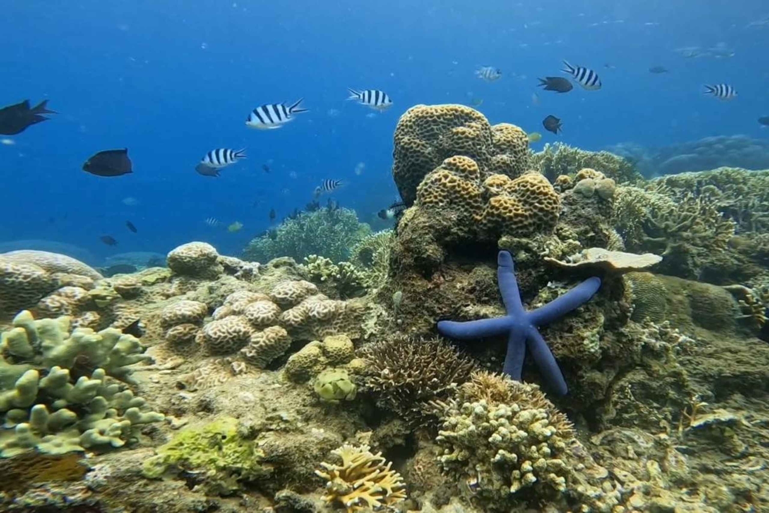 Lombok: 5 Gili Islands Snorkeling Tour With Go Pro & Lunch