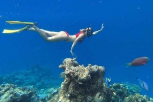 Lombok: 5 Gili Islands Snorkeling Tour With Go Pro & Lunch