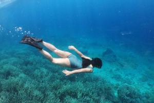 Lombok: 5 Gili Islands Snorkeling Tour With Go Pro & Lunch