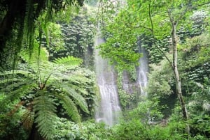 Lombok: Benang Kelambu and Benang Stokel Waterfalls Trek