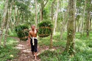 Lombok: Benang Kelambu und Benang Stokel Wasserfälle Trek