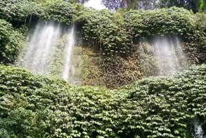 Lombok: Benang Kelambu und Benang Stokel Wasserfälle Trek