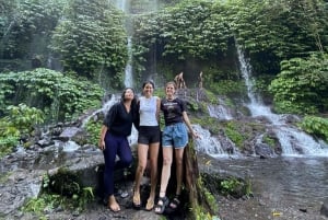 Lombok : Excursión a las Cascadas de Benang Kelambu y Benang Stokel