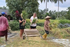 Lombok : Excursión a las Cascadas de Benang Kelambu y Benang Stokel