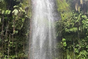 Lombok : Excursão às cascatas de Benang Kelambu e Benang Stokel