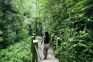 Lombok: Tur till vattenfallen Benang Stokal och Benang Kelambu