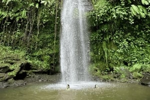 Lombok: Tur till vattenfallen Benang Stokal och Benang Kelambu