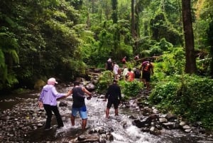 Lombok Biggest Waterfall - Sendang Gile & Tiu Kelep Tour