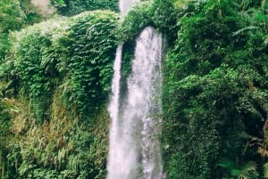 Lombok Biggest Waterfall - Sendang Gile & Tiu Kelep Tour