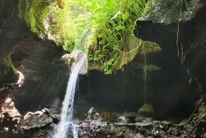 lombok : black monkey , rice terace ,waterfall tetebatu