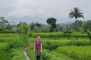 lombok : black monkey , rice terace ,waterfall tetebatu