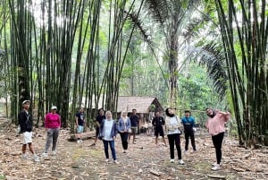 Lombok: Aldea local de Bonjeruk con almuerzo y taller