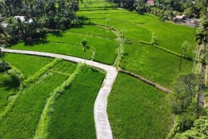 Lombok: Bonjeruk Local Village mit Mittagessen und Workshop