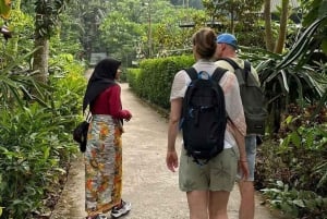 Lombok: Aldea local de Bonjeruk con almuerzo y taller