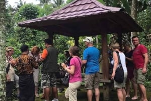 Lombok Bonjeruk Dorp Fietstour + Stadsrondleiding