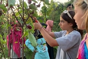 Lombok Bonjeruk Village Sykkeltur + byomvisning