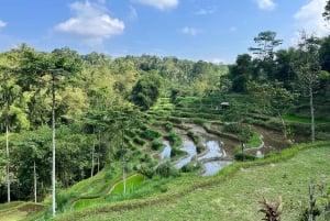 Lombok: Car Hire With Driver