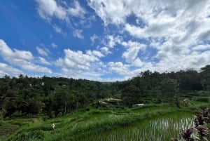 Lombok: noleggio auto con autista privato
