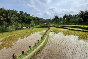 Lombok: noleggio auto con autista privato
