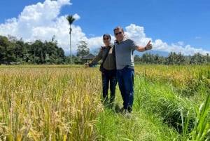 Lombok: noleggio auto con autista privato