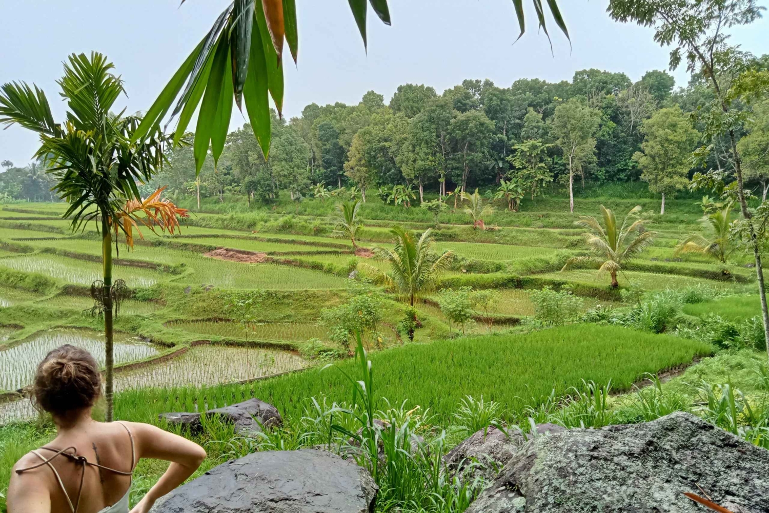 Lombok: Wypożycz prywatny samochód z kierowcą-przewodnikiem