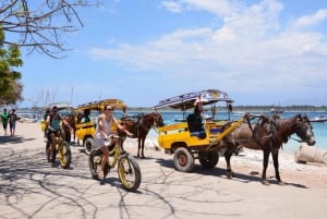 Lombok: Skræddersyet privat tur-biludlejning med chauffør-guide