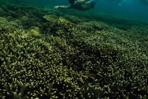 Lombok: Wypożycz prywatny samochód z kierowcą-przewodnikiem