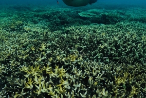 Lombok: Wypożycz prywatny samochód z kierowcą-przewodnikiem