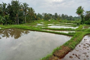 Lombok: Wypożycz prywatny samochód z kierowcą-przewodnikiem