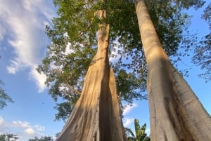 Lombok: Helt anpassningsbar privat tur med förare och guide