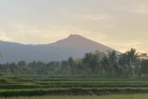 Lombok: Fuldt tilpasset privat tur med chauffør og guide