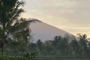 Lombok: Fuldt tilpasset privat tur med chauffør og guide