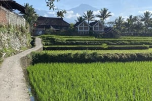 Lombok: Tour privato completo e personalizzabile con guida e autista