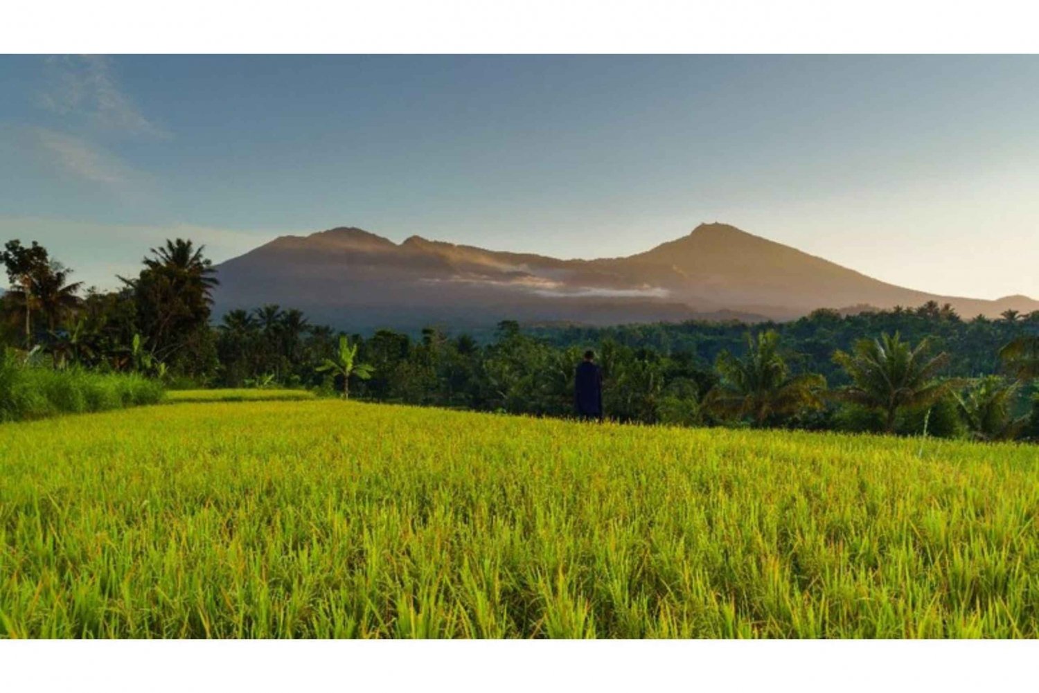 Recorrido a pie por Tetebatu: arrozales, cascadas y bosque de monos.