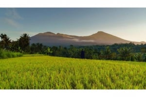 Recorrido a pie por Tetebatu: arrozales, cascadas y bosque de monos.