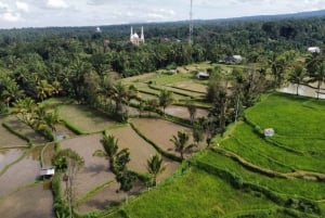 Recorrido a pie por Tetebatu: arrozales, cascadas y bosque de monos.