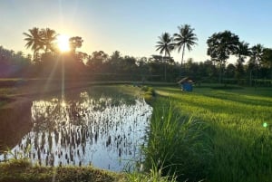 Lombok: Oplev den skjulte perle med en flerdagesrejse