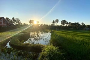 Lombok: Oplev den skjulte perle med en flerdagesrejse