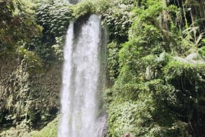 ロンボク島:数日間の旅で隠れた宝石を発見
