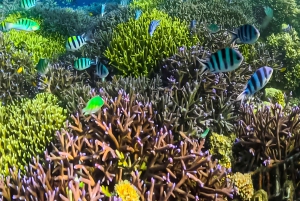 ロンボク島:数日間の旅で隠れた宝石を発見