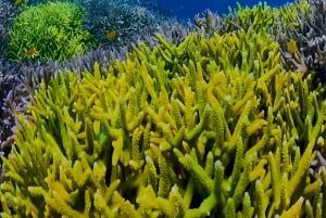 ロンボク島:数日間の旅で隠れた宝石を発見