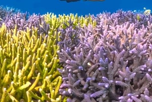 ロンボク島:数日間の旅で隠れた宝石を発見