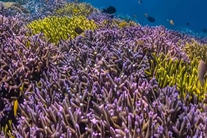 ロンボク島:数日間の旅で隠れた宝石を発見