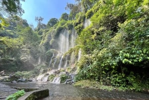 Lombok: Exclusive 4 Waterfalls, Rice Field & Beach